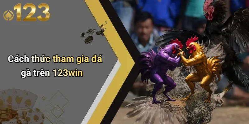 Cách thức tham gia đá gà trên 123win
