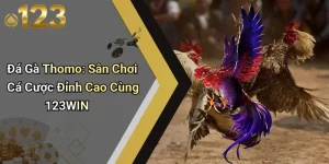 Đá Gà Thomo: Sân Chơi Cá Cược Đỉnh Cao Cùng 123WIN