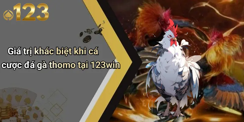Giá trị khác biệt khi cá cược đá gà thomo tại 123win