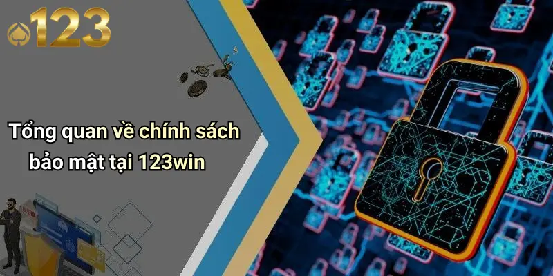 Tổng quan về chính sách bảo mật tại 123win